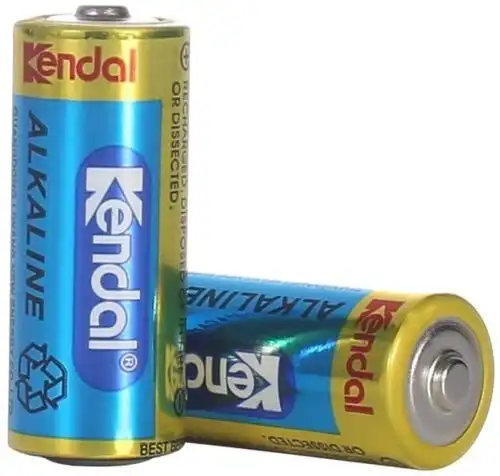 LR1 N Size Battery 1.5v Alkaline MN9100 (2 Pack)