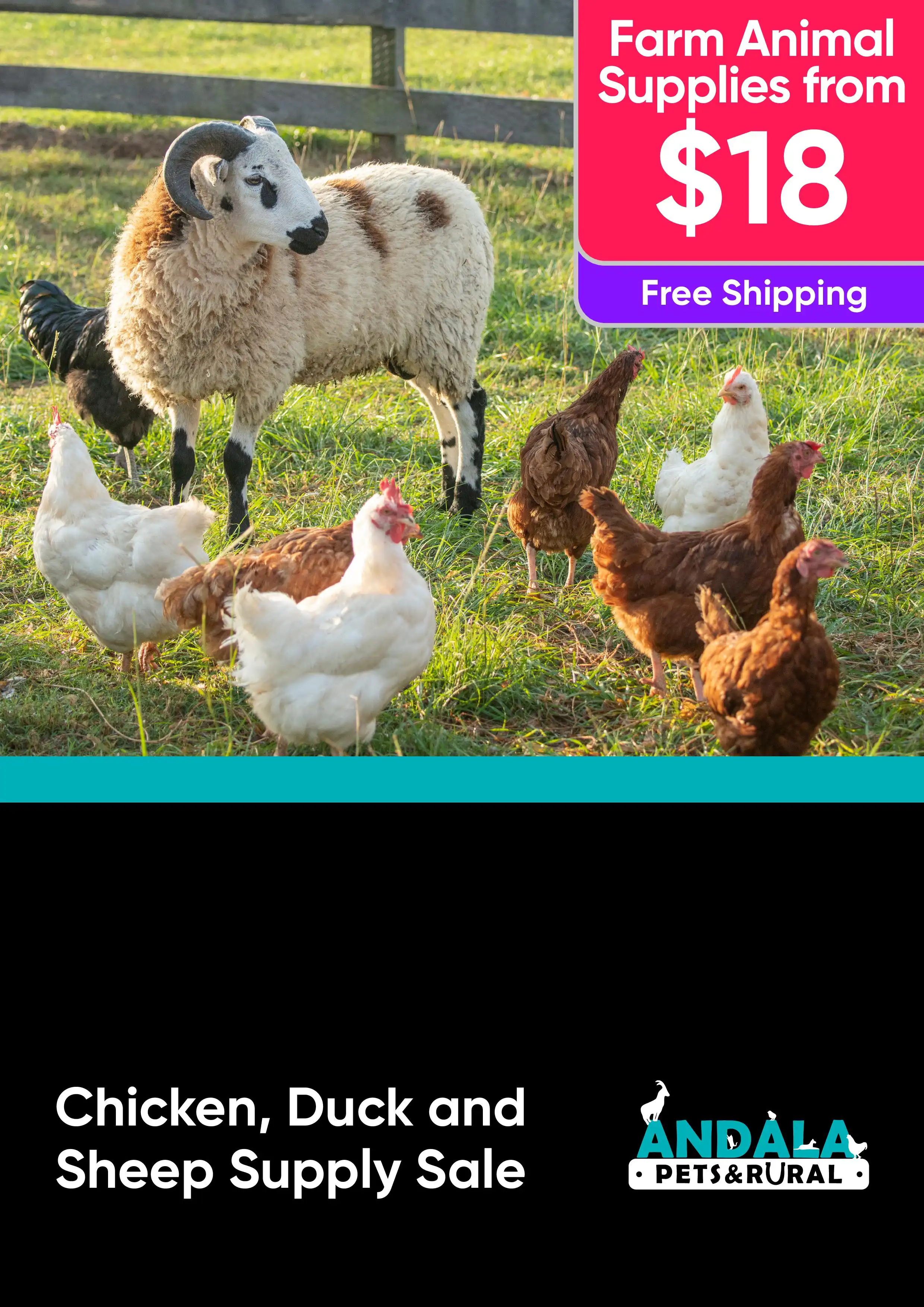 Farm Animal Pet Supply Sale for Chickens, Ducks and Sheep - specials from $18 - Free Shipping