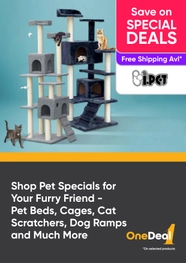 Shop Pet Specials for Your Furry Friend - Pet Beds, Cages, Cat Scratchers, Dog Ramps and Much More