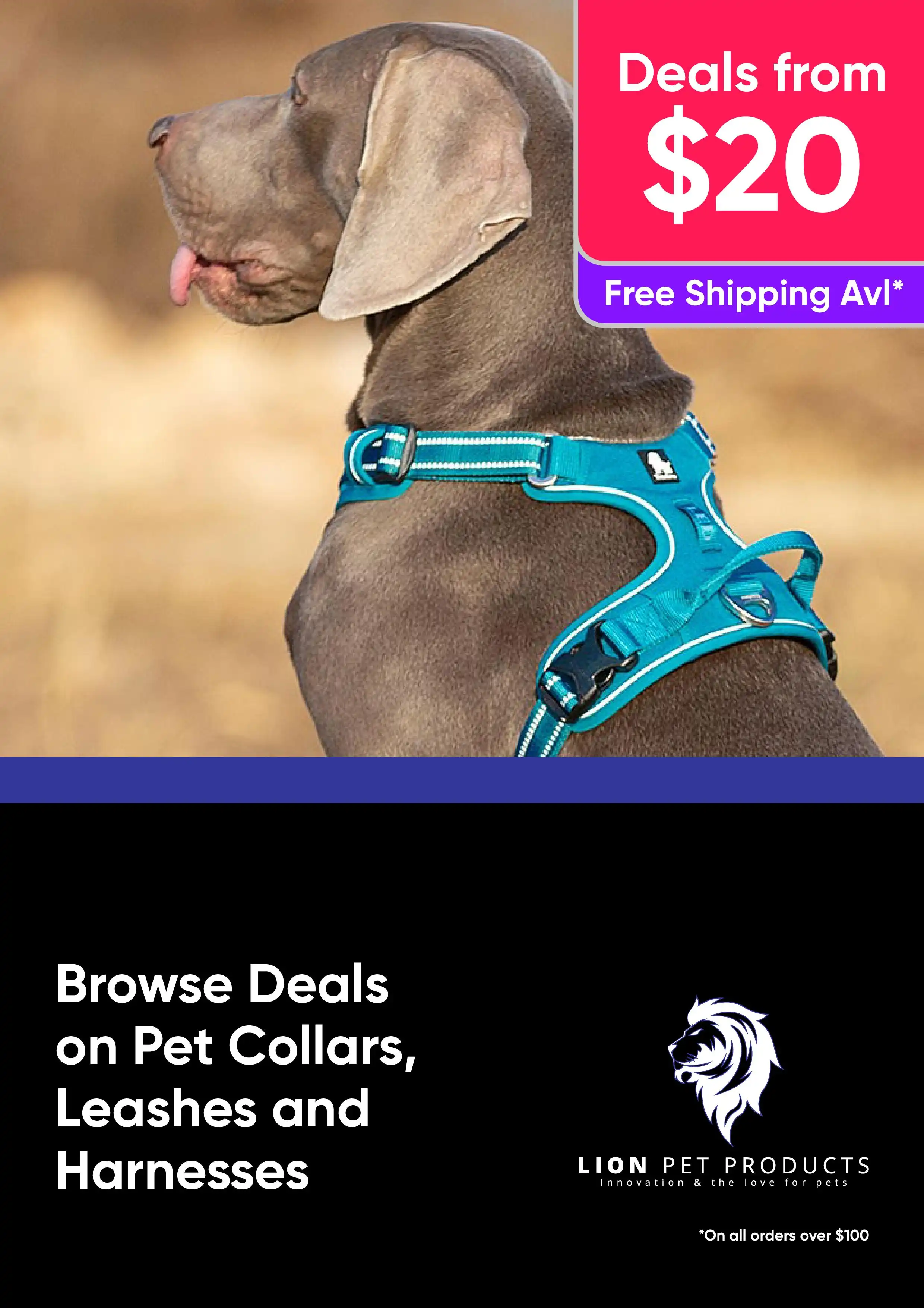 Browse Deals on a Big Range of Pet Collars, Leashes and Harnesses
