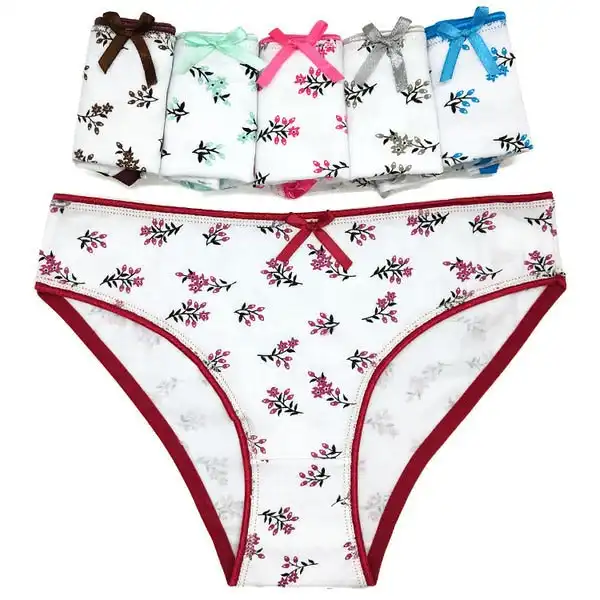 6 x Womens Sheer Spandex / Cotton Briefs - Assorted Colours Underwear Undies 89393