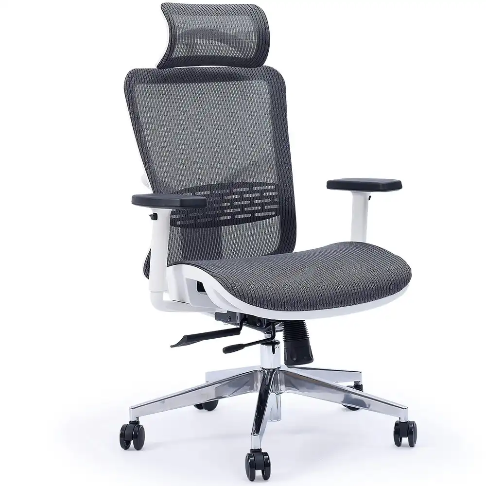 Fortia Ergonomic Office Desk Chair, Coolmesh Fabric, Headrest, Adjustable Lumbar Support, Armrests and Recline, Dark Grey Mesh/White Frame