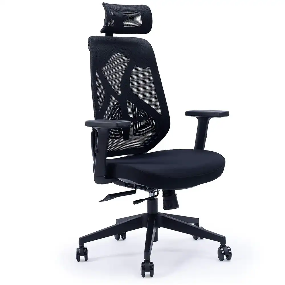 Fortia Ergonomic Office Desk Chair, with Adjustable Lumbar Support and Headrest, Black Mesh/Black Frame