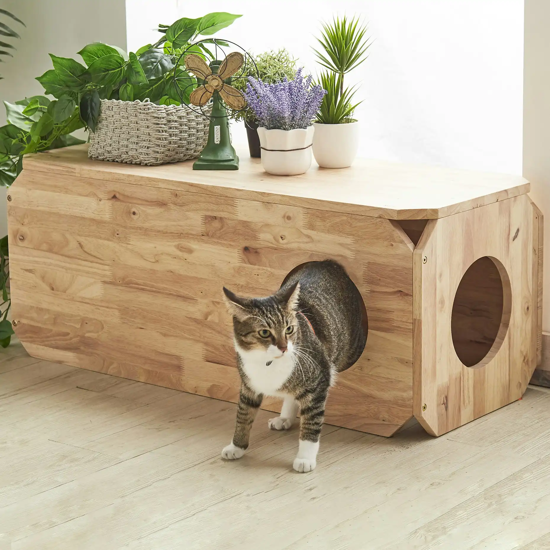 Cheska Wooden Cat Bench